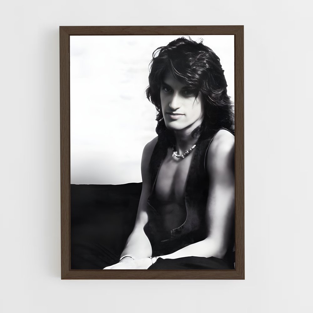 ap-joe perry-2 cadre Bois foncé