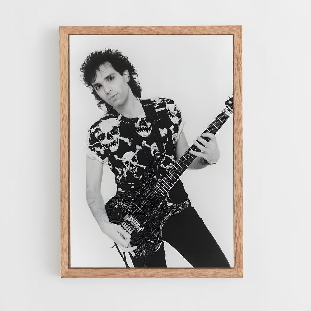 ap-joe satriani-10 cadre Bois clair