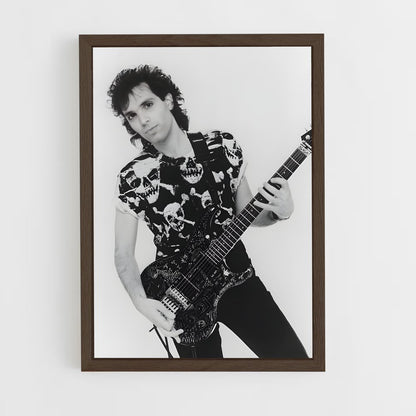 ap-joe satriani-10 cadre Bois foncé