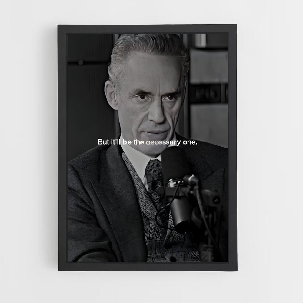 ap-jordan peterson-4 cadre Noir