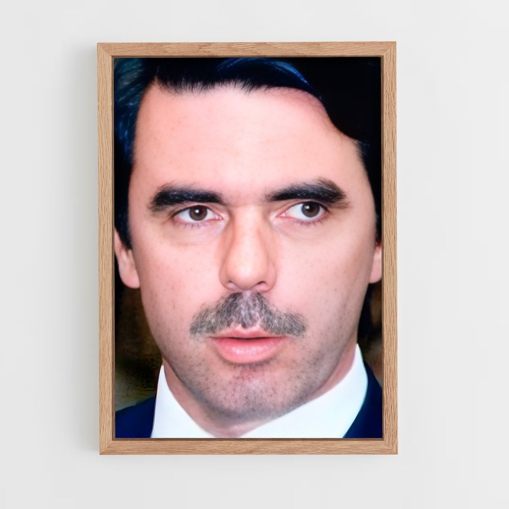 ap-jose maria aznar-2 cadre Bois clair