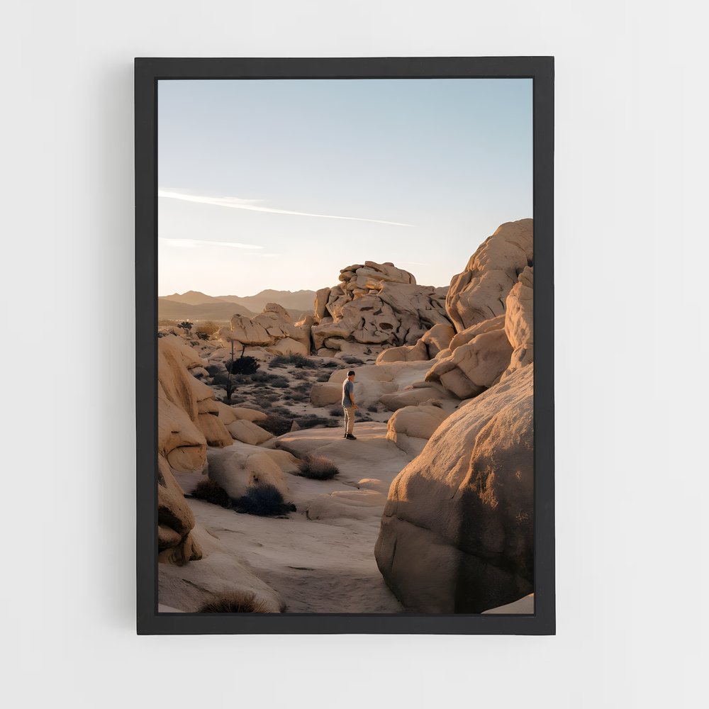 ap-joshua tree-1 cadre Noir