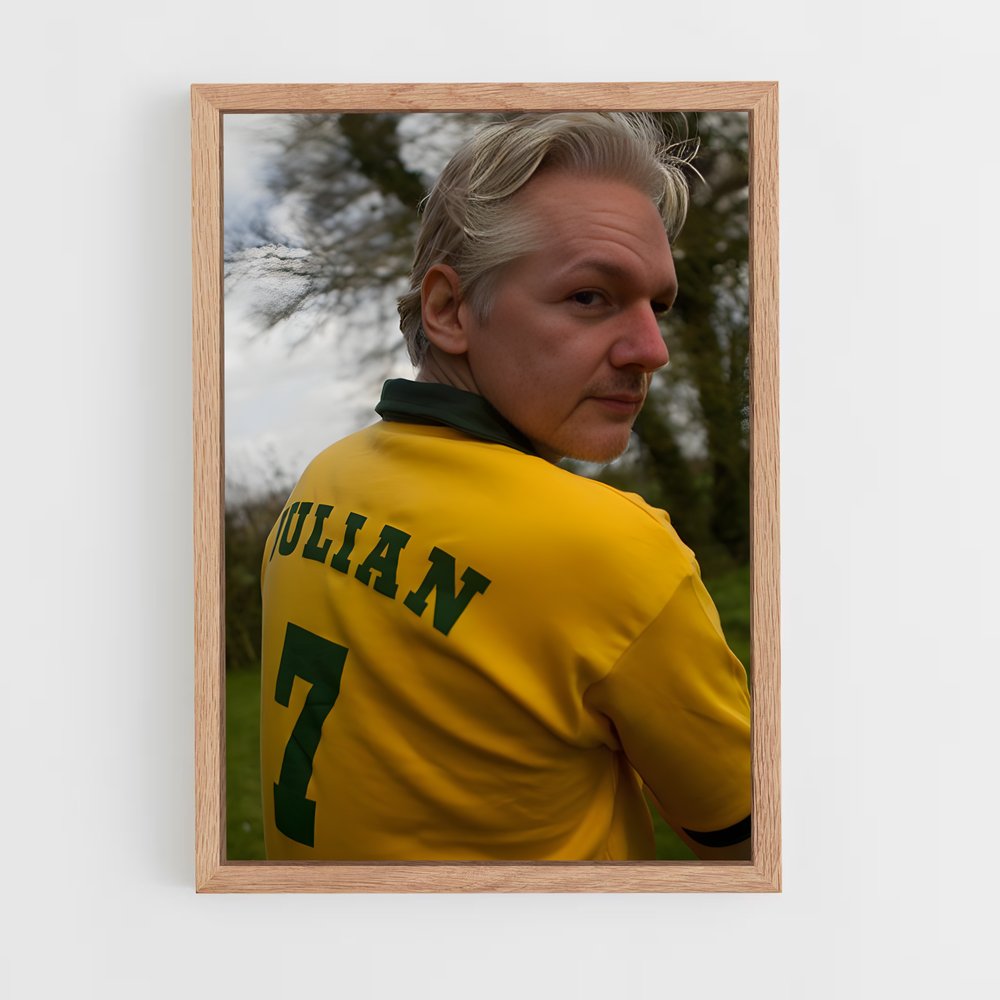 ap-julian assange-2 cadre Bois clair