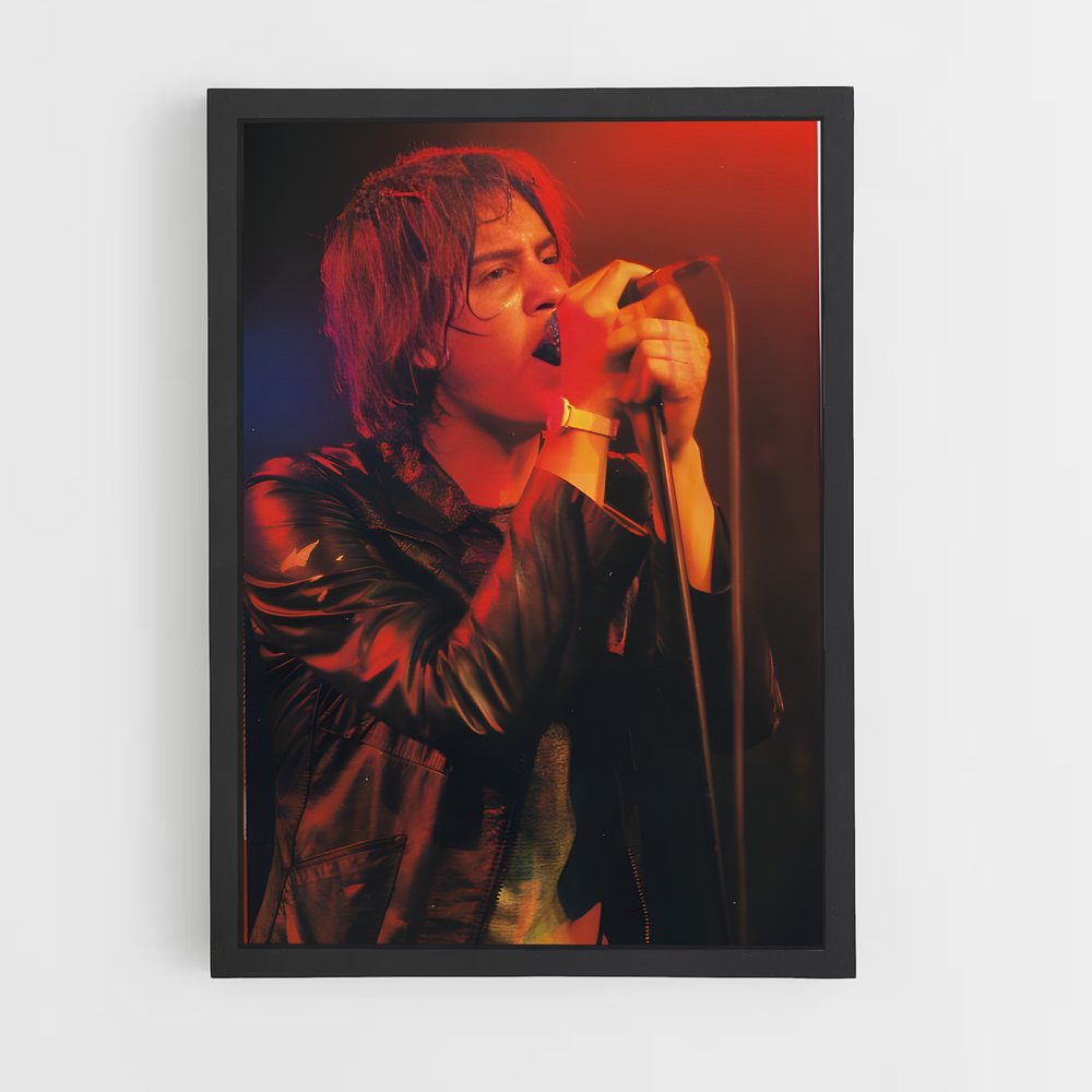 ap-julian casablancas-4 cadre Noir