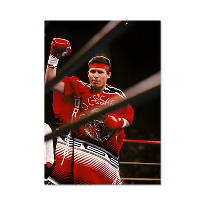 Poster L'Héritage de Chavez