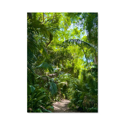 Poster Jungle 94962