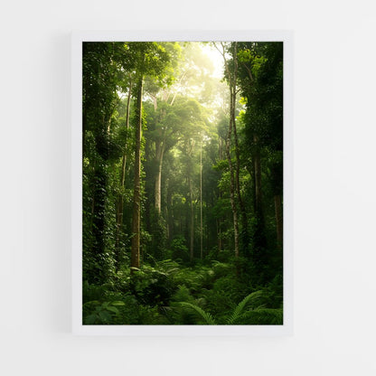 ap-jungle-2 cadre Blanc