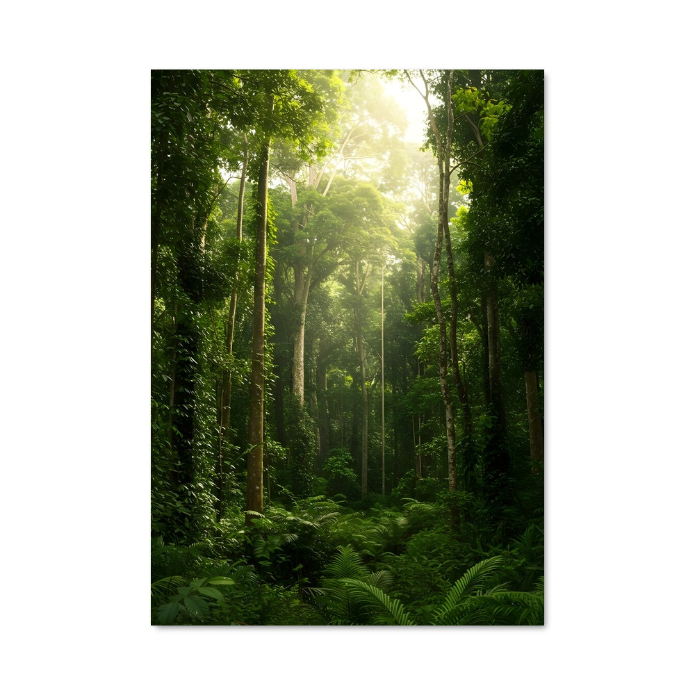 Poster Jungle 94951