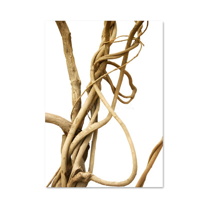 Poster Entre les Branches