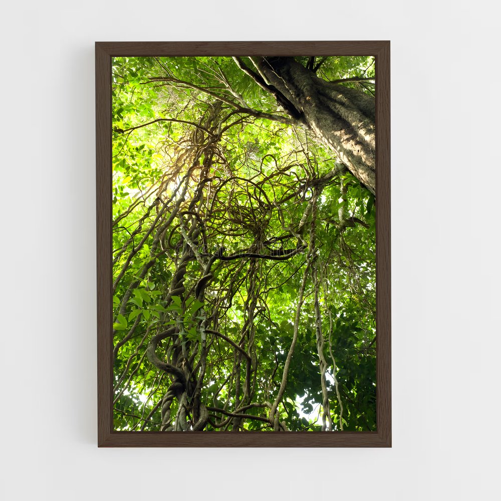 ap-jungle vine-1 cadre Bois foncé