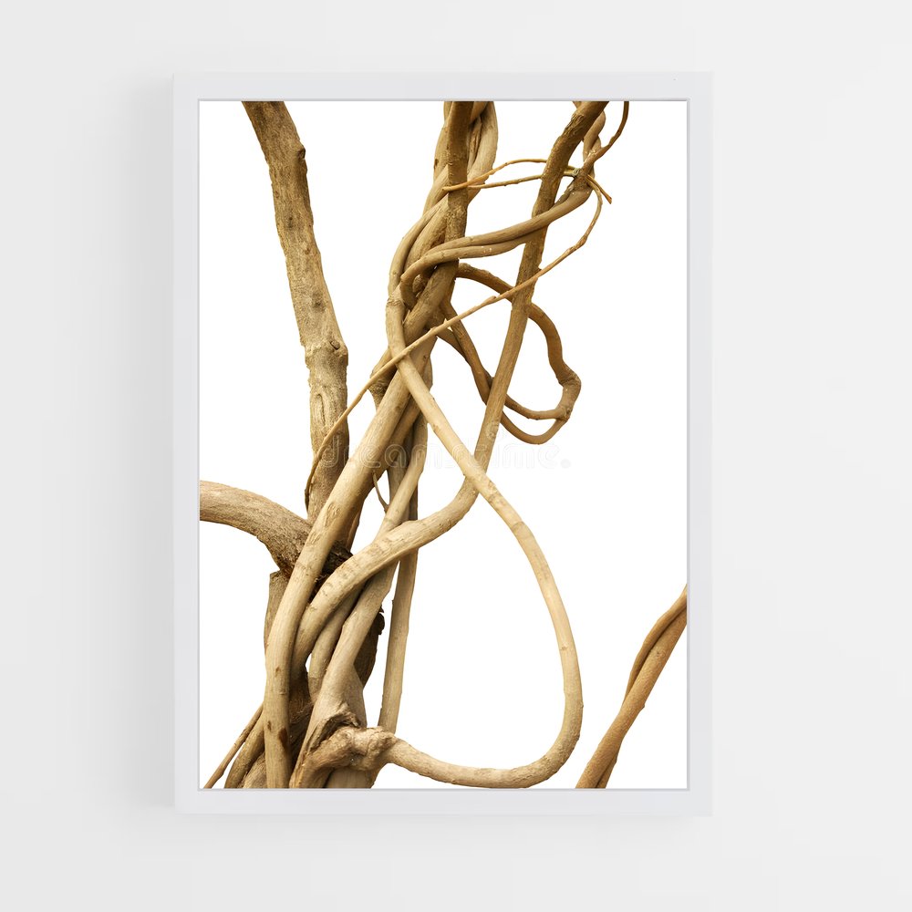 ap-jungle vine-2 cadre Blanc
