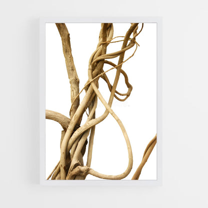 ap-jungle vine-2 cadre Blanc