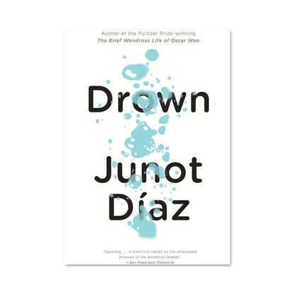Poster Le Voyage de Junot