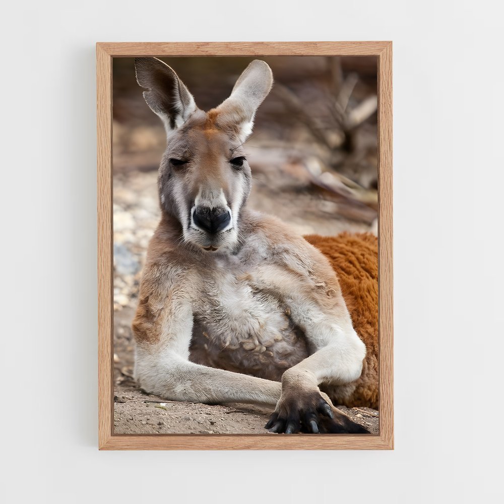 ap-kangaroo-4 cadre Bois clair