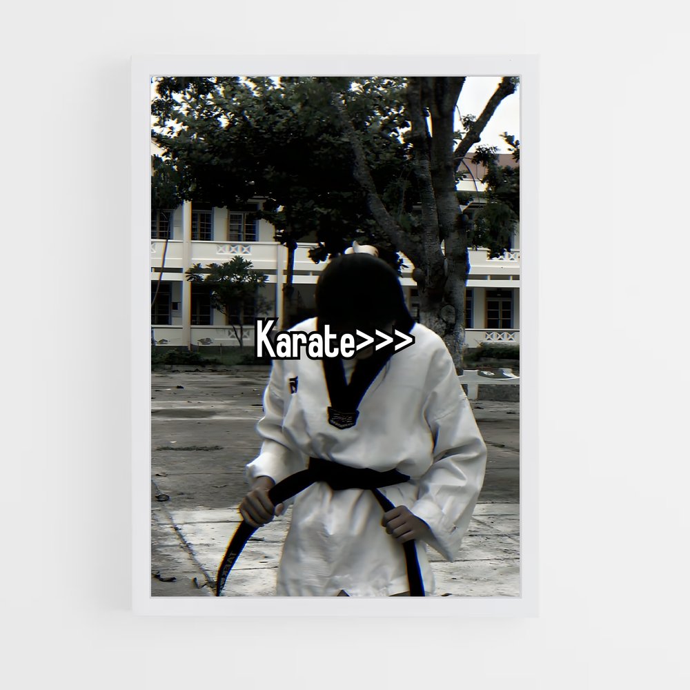 ap-karate-1 cadre Blanc