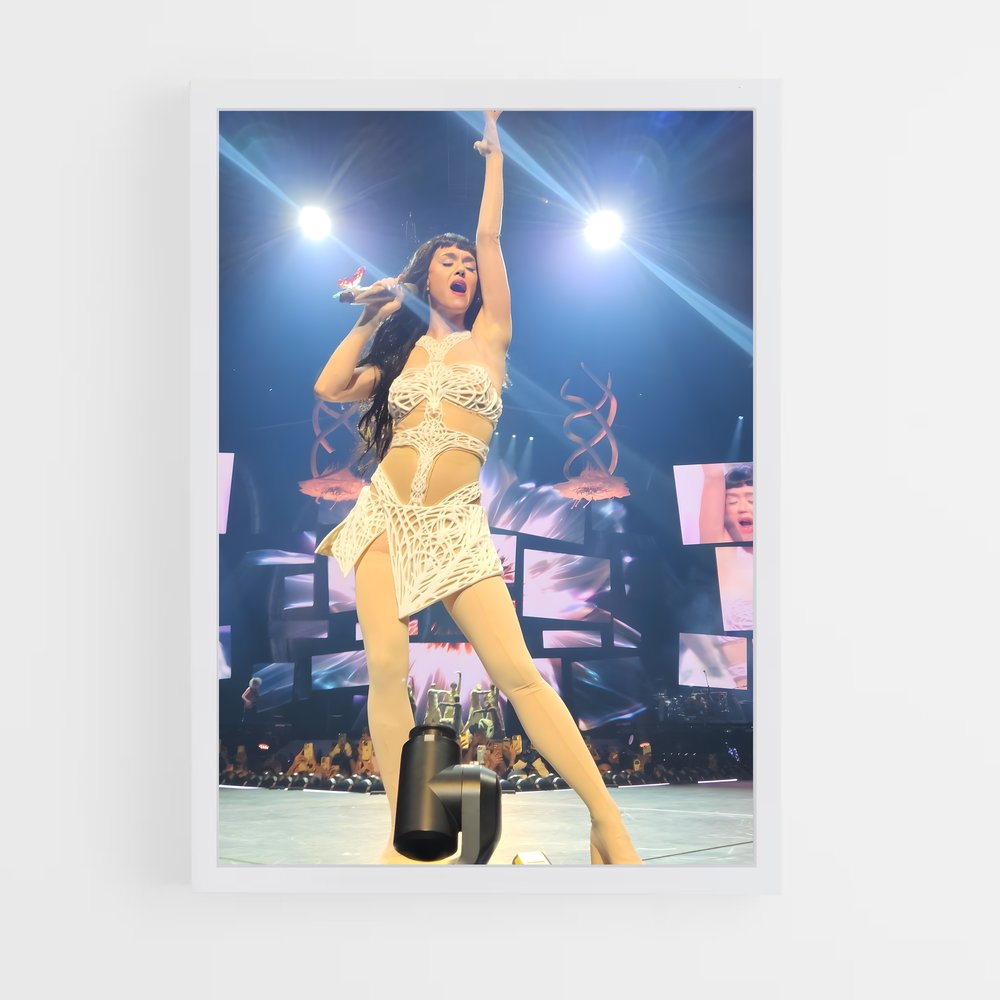 ap-katy perry-11 cadre Blanc