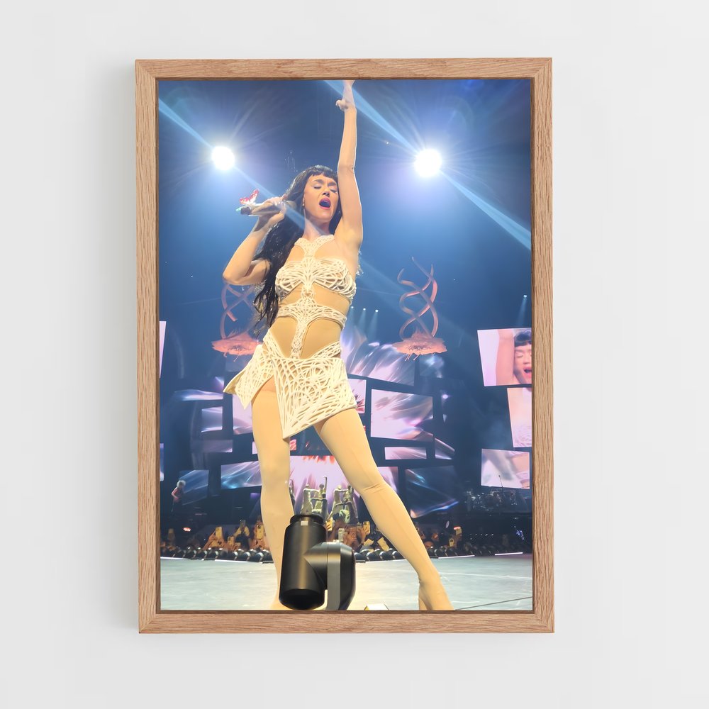 ap-katy perry-11 cadre Bois clair