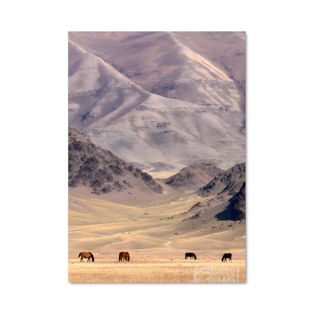 Poster Chevaux Nomades