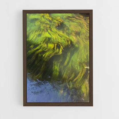 ap-kelp-2 cadre Bois foncé