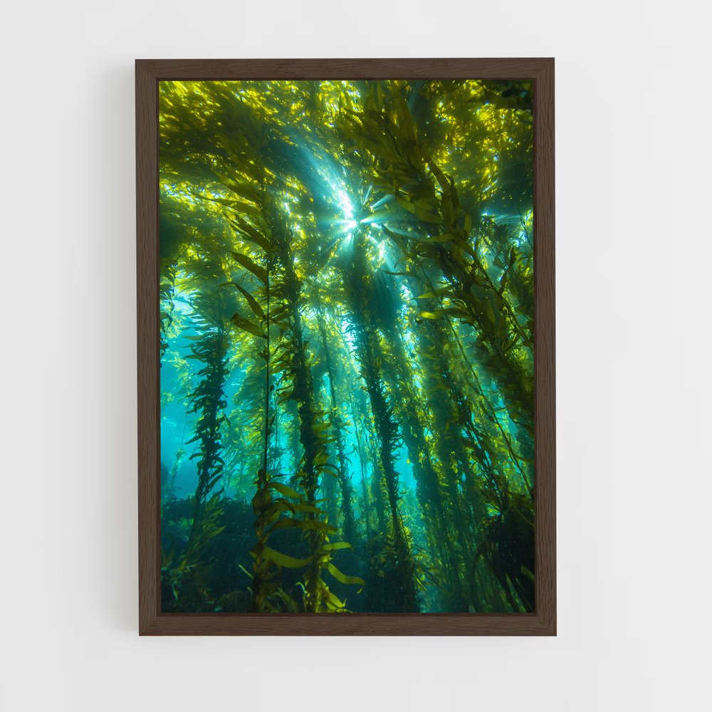 ap-kelp-3 cadre Bois foncé