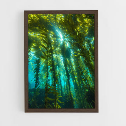 ap-kelp-3 cadre Bois foncé