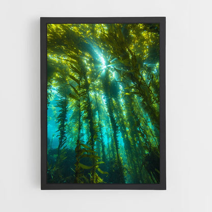 ap-kelp-3 cadre Noir
