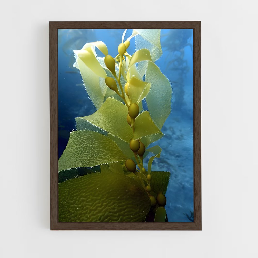 ap-kelp-4 cadre Bois foncé