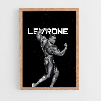 ap-kevin levrone-3 cadre Bois clair