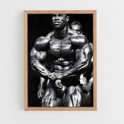 ap-kevin levrone-5 cadre Bois clair