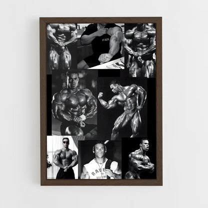 ap-kevin levrone-6 cadre Bois foncé