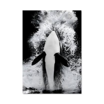 Poster Saute de la Mer