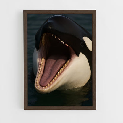 ap-killer whale-8 cadre Bois foncé