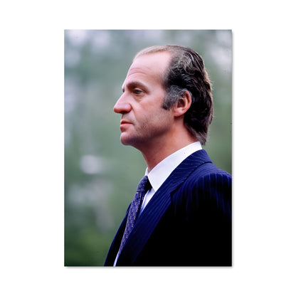 Poster Le Regard du Roi