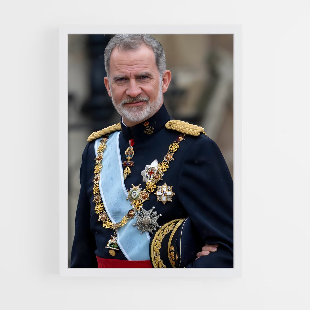 ap-king felipe vi-2 cadre Blanc
