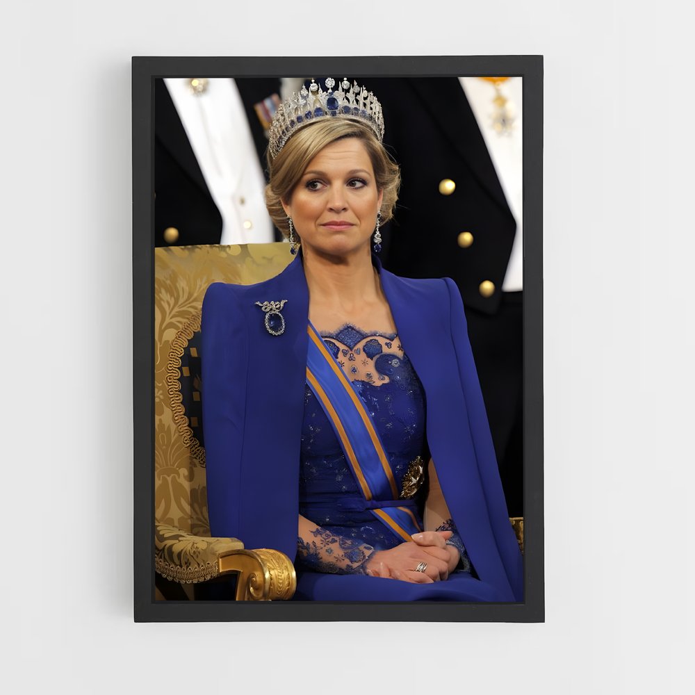 ap-king willem alexander-7 cadre Noir