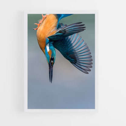 ap-kingfisher-5 cadre Blanc