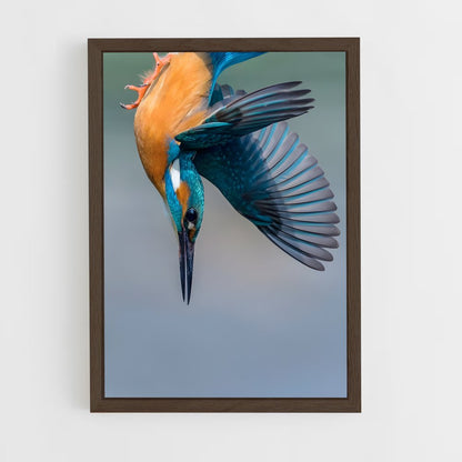 ap-kingfisher-5 cadre Bois foncé