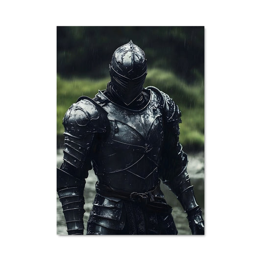 Poster Chevalier des Tempêtes