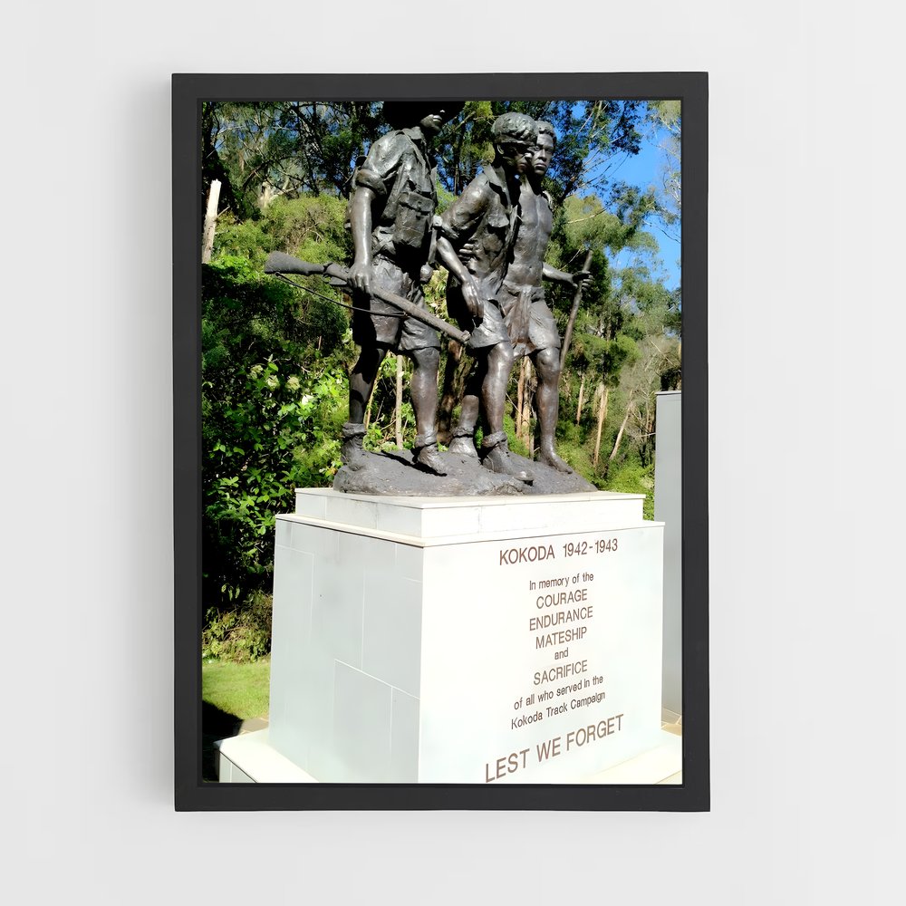 ap-kokoda track-3 cadre Noir