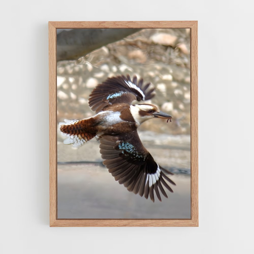 ap-kookaburra-2 cadre Bois clair