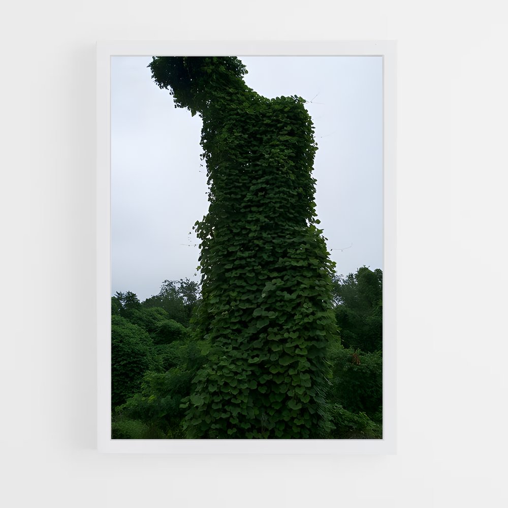 ap-kudzu-1 cadre Blanc