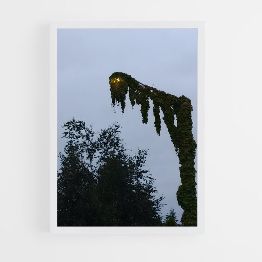 ap-kudzu-3 cadre Blanc