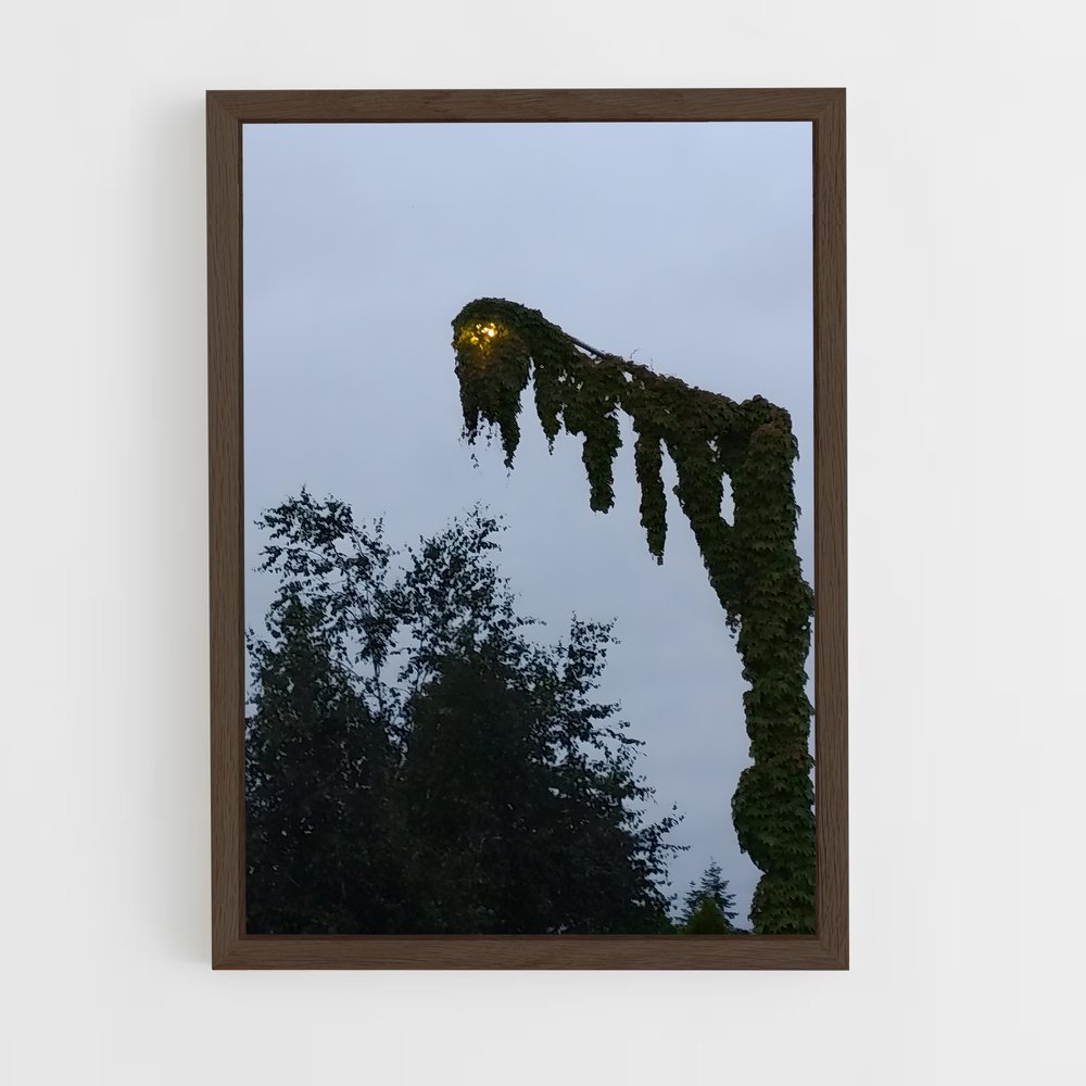 ap-kudzu-3 cadre Bois foncé