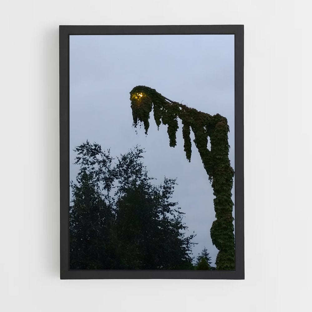 ap-kudzu-3 cadre Noir