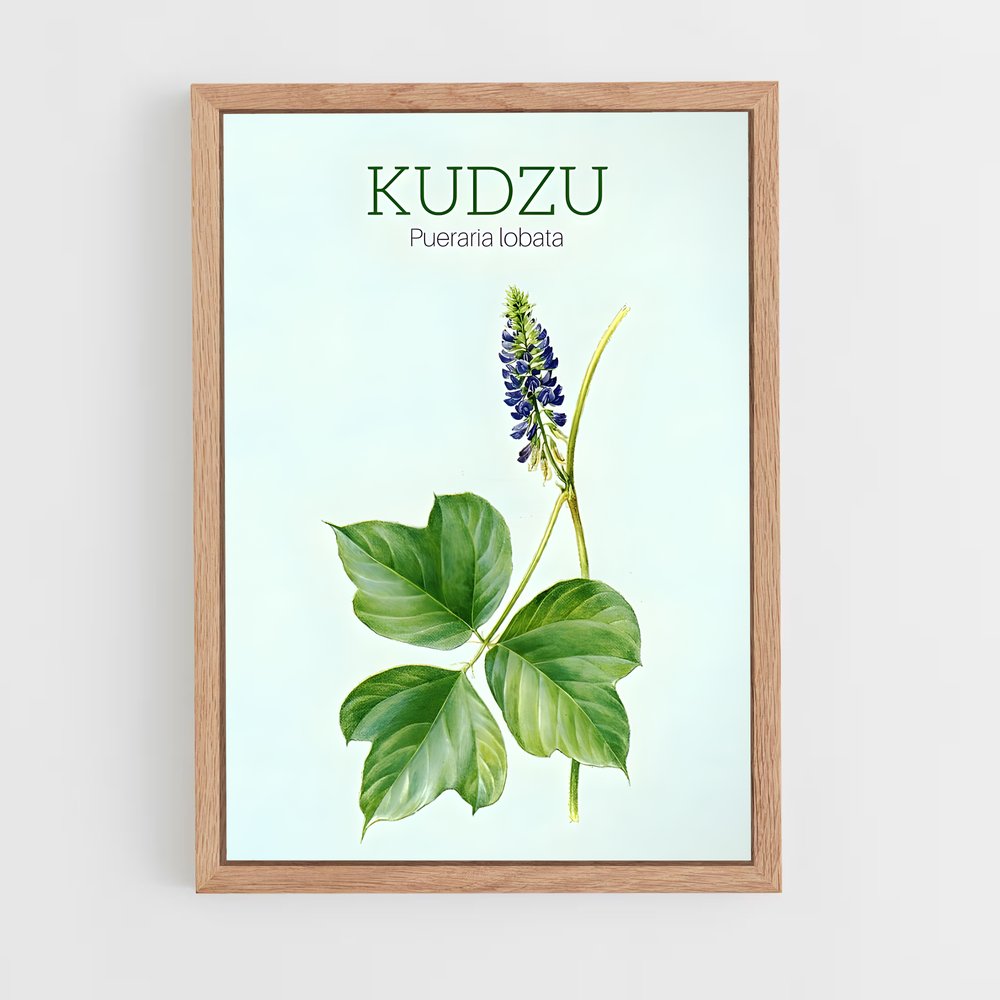 ap-kudzu-5 cadre Bois clair