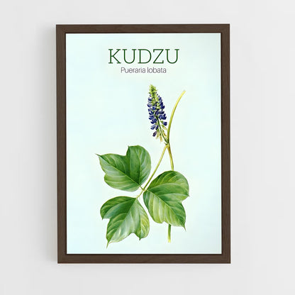ap-kudzu-5 cadre Bois foncé