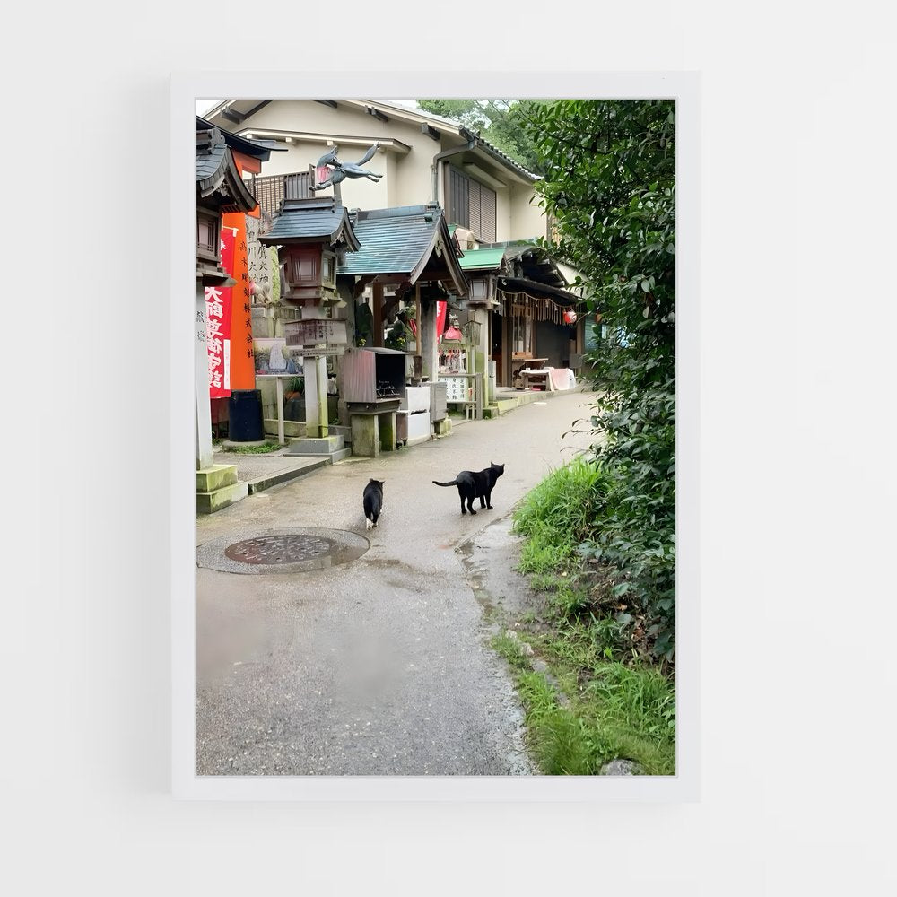 ap-kyoto-6 cadre Blanc