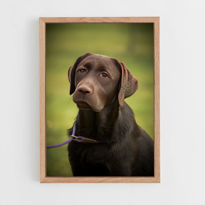 ap-labrador retriever-3 cadre Bois clair