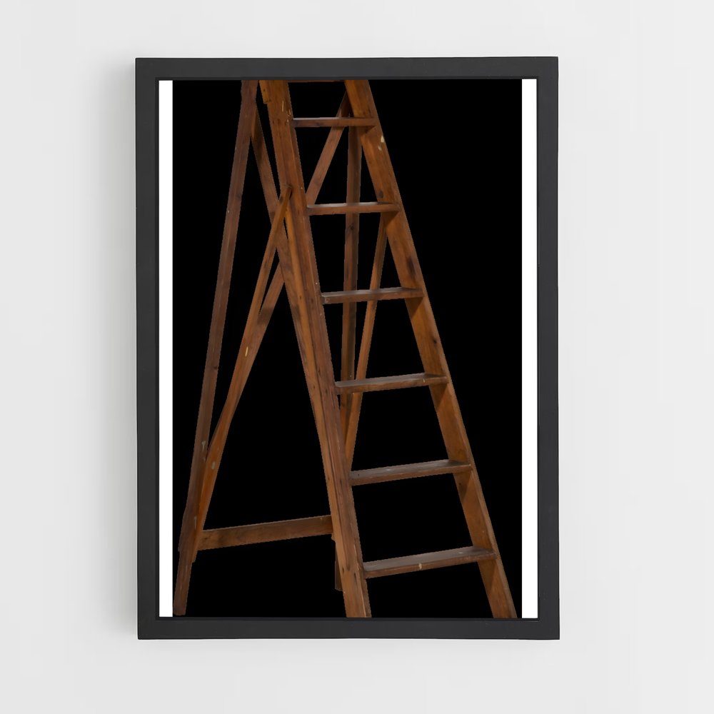 ap-ladder-3 cadre Noir