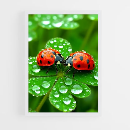 ap-ladybug-8 cadre Blanc